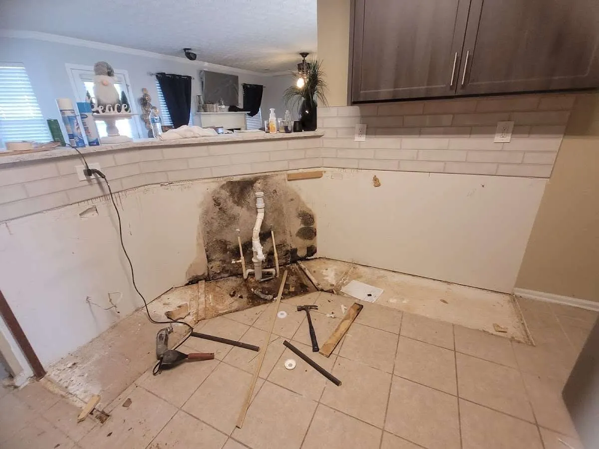 Mold behind wall with plumbing during Flood Damage Cleanup in Sudbury